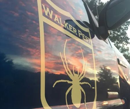 Walker Pest Management: Pest & Termite Control Gaffney SC