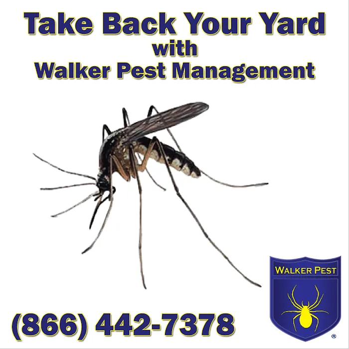 Walker Pest Management: Pest & Termite Control Gaffney SC Picture 10