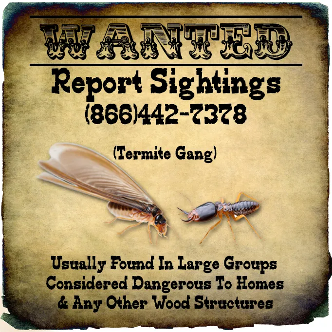 Walker Pest Management: Pest & Termite Control Gaffney SC Picture 7
