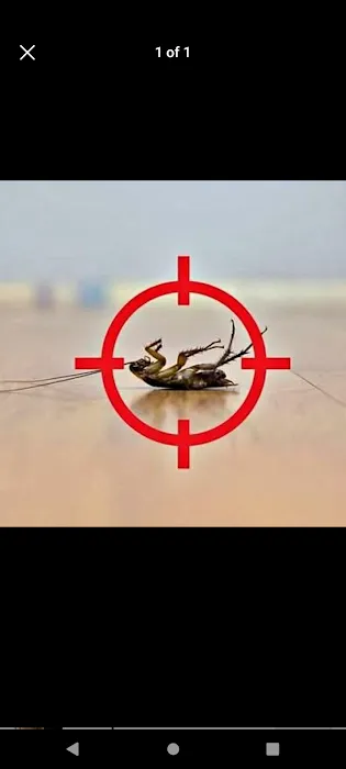 Iron City Pest Control Picture 3