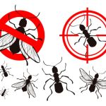 County pest control
