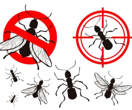 County pest control