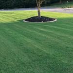 Top Turf Lawn Care and Pest Management