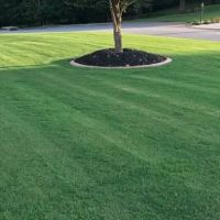 Top Turf Lawn Care and Pest Management ico