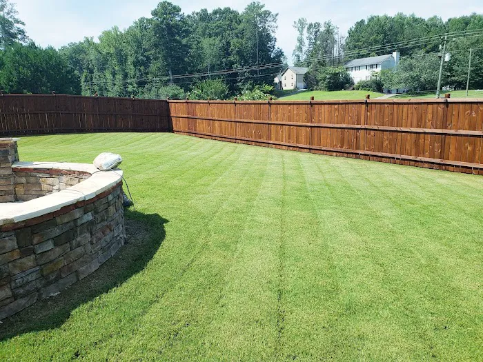 Top Turf Lawn Care and Pest Management Picture 2