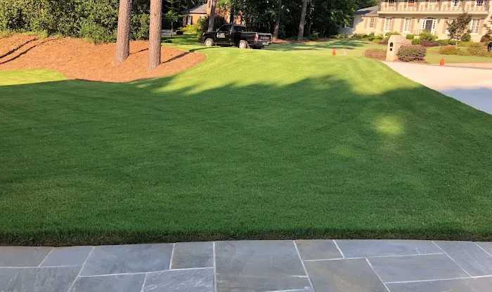 Top Turf Lawn Care and Pest Management Picture 4