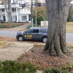 J&N Pest Control