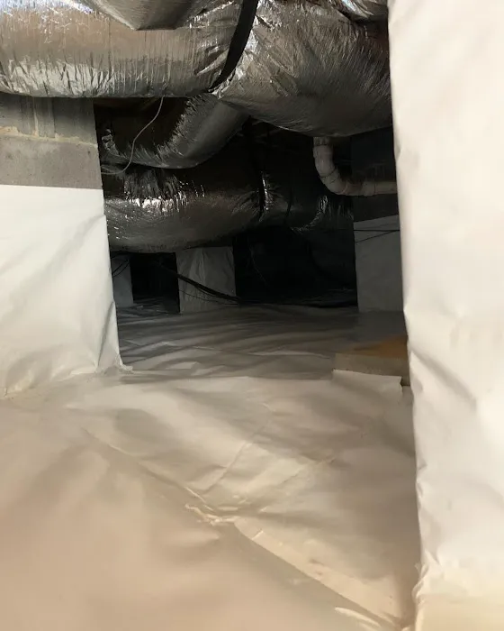 J&N Pest Control Picture 5