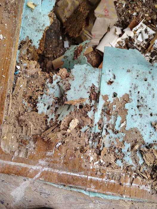 Terminix Picture 10