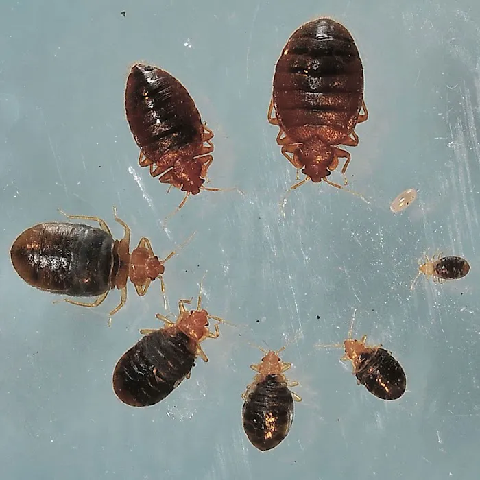 A Do It Yourself Pest Control Store Picture 5