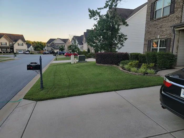 Top Turf Lawn Care and Pest Management Picture 6