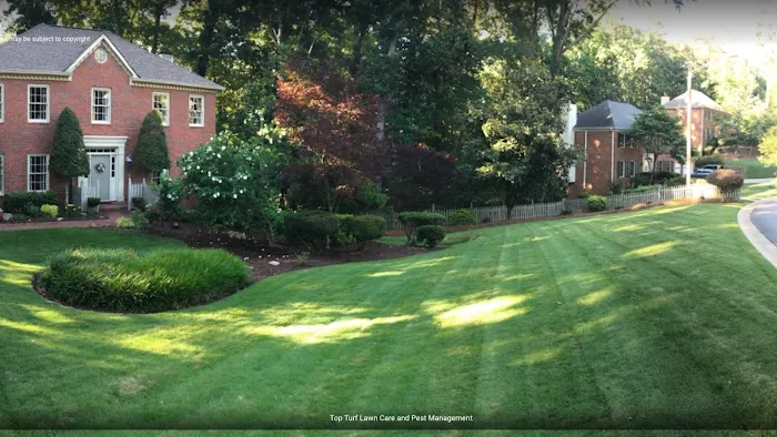 Top Turf Lawn Care and Pest Management Picture 5