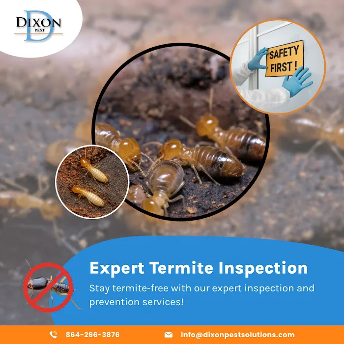 Dixon Pest Solutions Picture 5