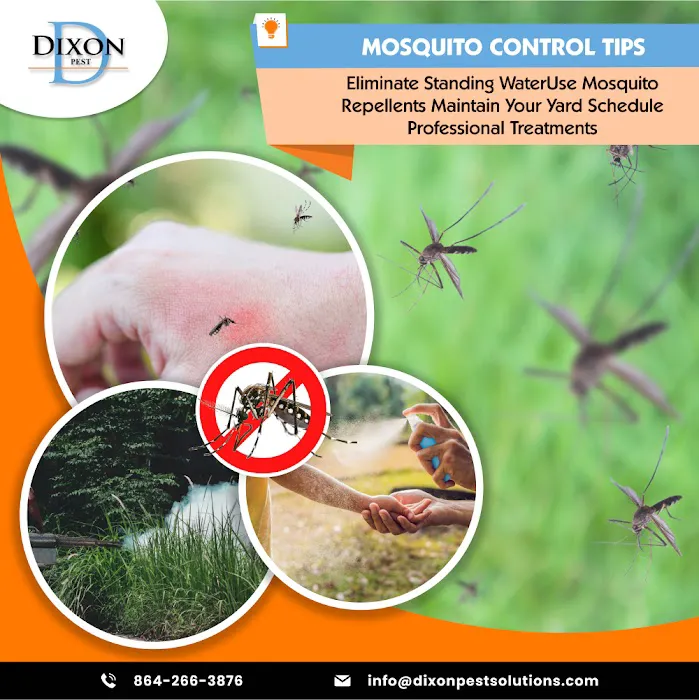 Dixon Pest Solutions Picture 8