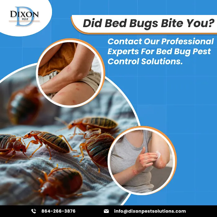 Dixon Pest Solutions Picture 6