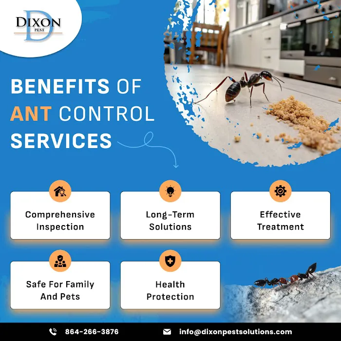 Dixon Pest Solutions Picture 3