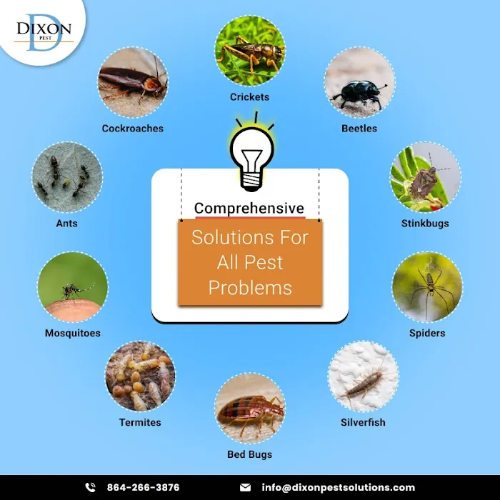 Dixon Pest Solutions Picture 10