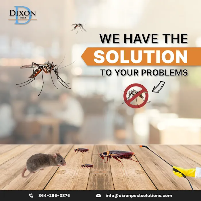 Dixon Pest Solutions Picture 2