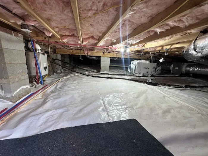 Dobbins Termite & Pest Control Picture 4