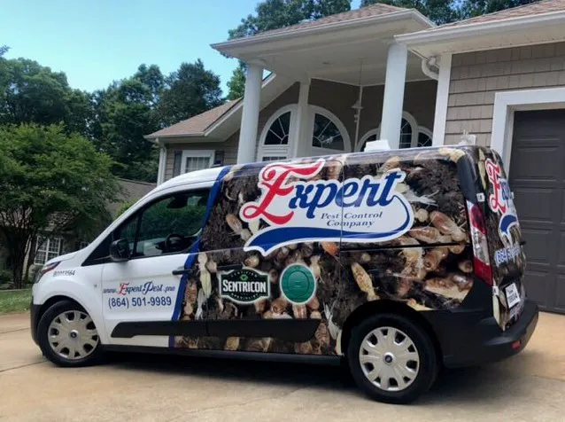 Expert Pest Control Picture 3