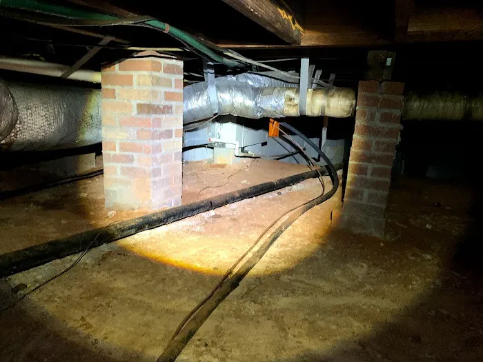 Freedom Pest Services Picture 9