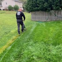 Freedom Pest Services ico