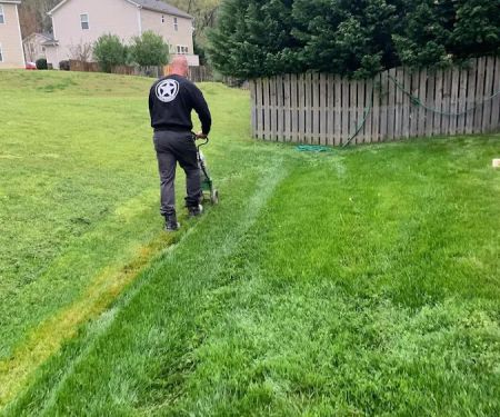 Freedom Pest Services