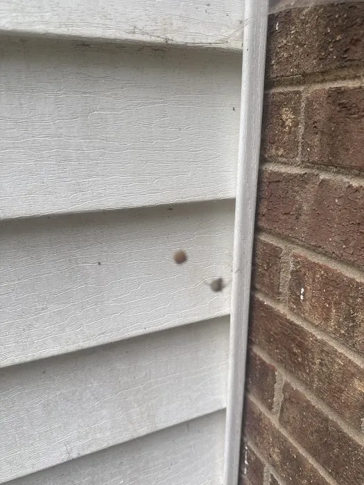 EcoShield Pest Solutions Picture 5