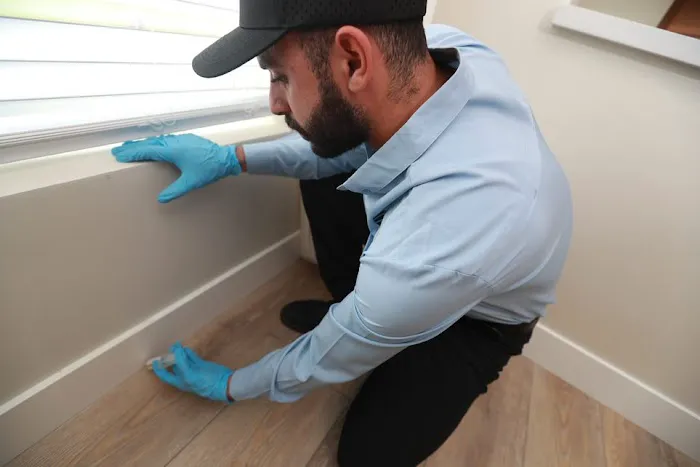 EcoShield Pest Solutions Picture 7