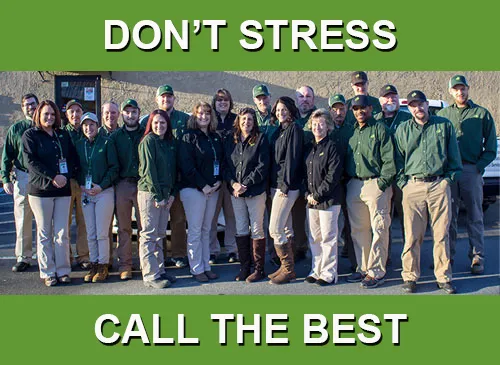 Pisgah Pest Control, Inc. Picture 4