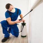 Blue Ridge Pest Control