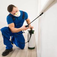 Blue Ridge Pest Control ico