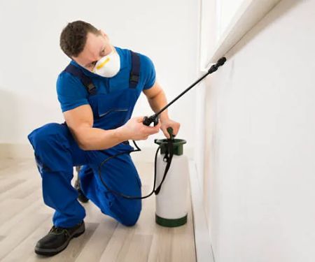 Blue Ridge Pest Control