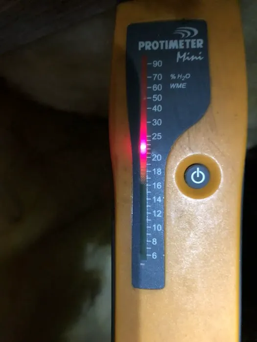 Clarendon Exterminating Company Picture 3