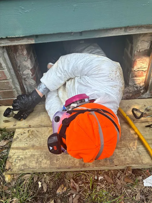 Clarendon Exterminating Company Picture 2