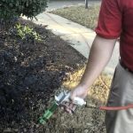 Clarendon Exterminating Company