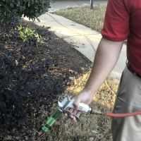 Clarendon Exterminating Company ico