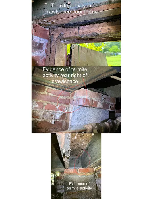 Clarendon Exterminating Company Picture 5