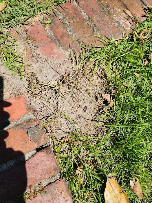 Mid Carolina Exterminating Picture 2