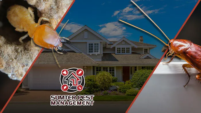 Sumter Pest Management Picture 9