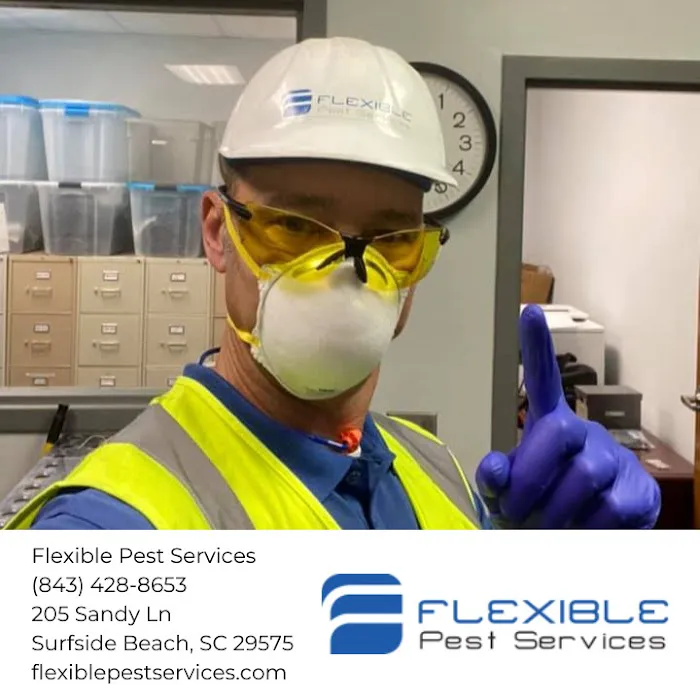 Flexible Pest Services Picture 10