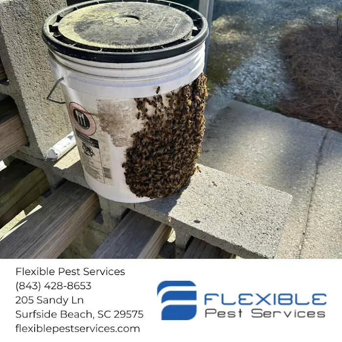 Flexible Pest Services Picture 6