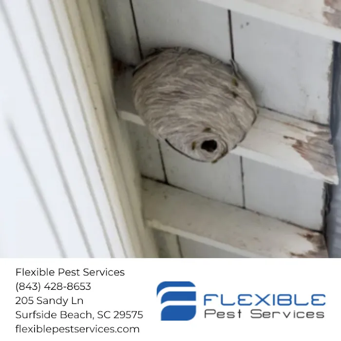 Flexible Pest Services Picture 1