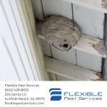 Flexible Pest Services