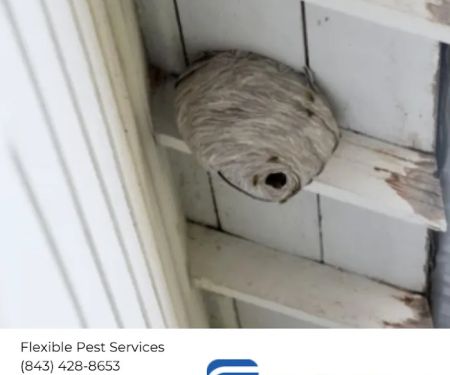 Flexible Pest Services