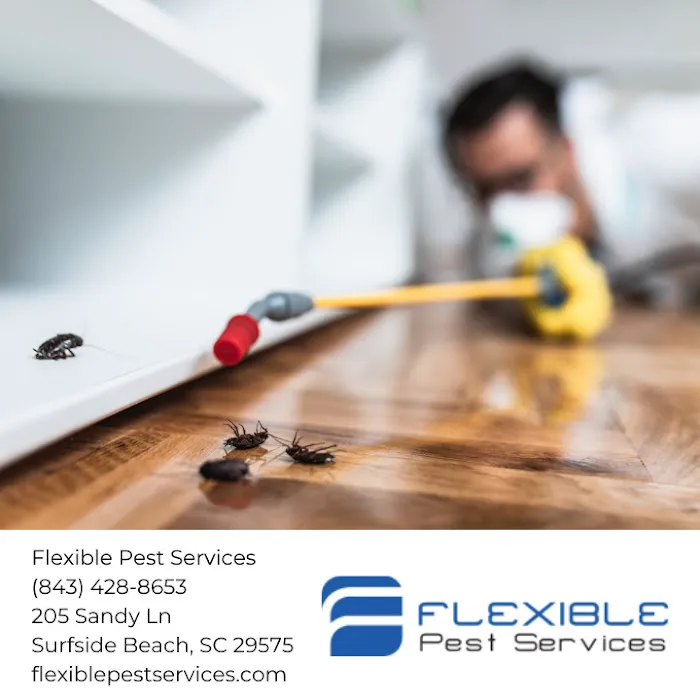 Flexible Pest Services Picture 7