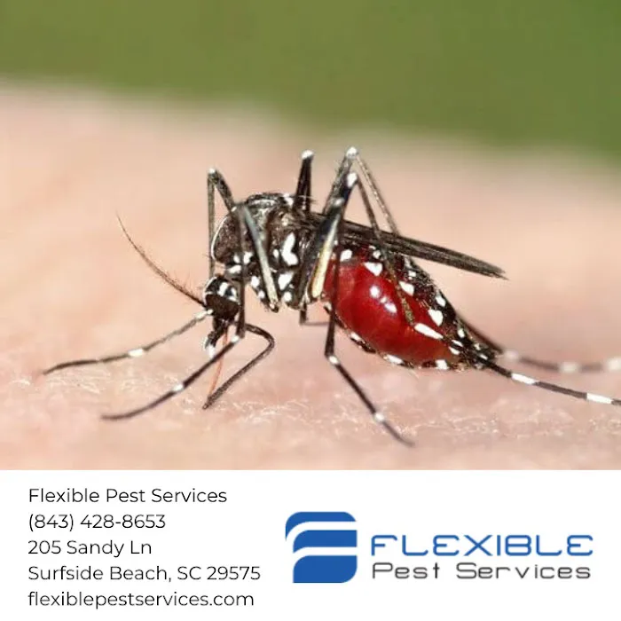 Flexible Pest Services Picture 8