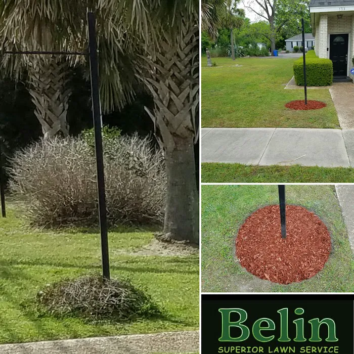 Belin Superior Lawn service LLC Picture 10