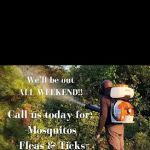 Belin Superior Lawn service LLC