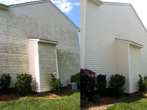 Belin Superior Lawn service LLC Picture 2